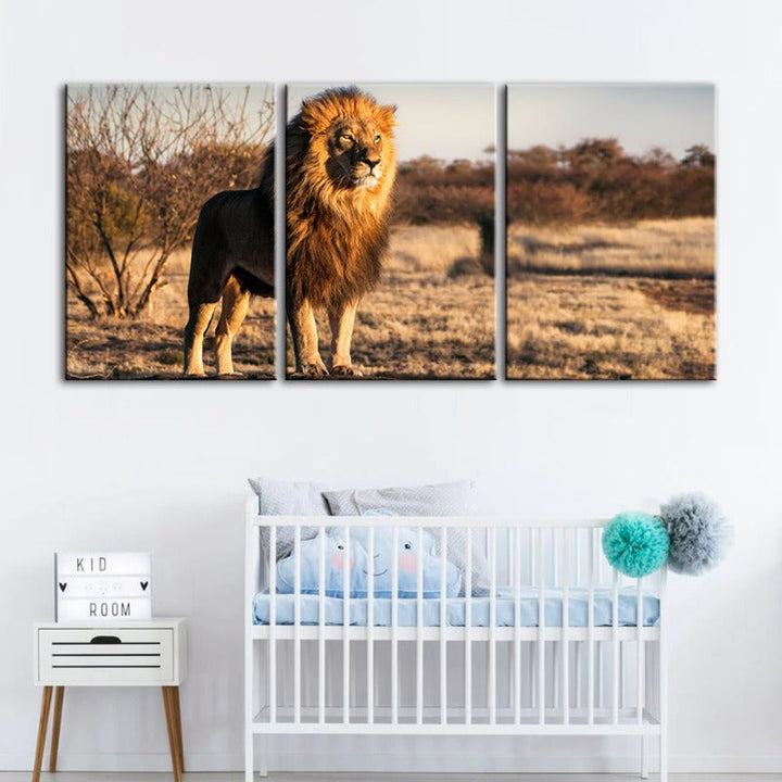Majestueuze Leeuw Gebaad in Zonlicht - Canvas Muurkunst Schilderij 3 Stukken