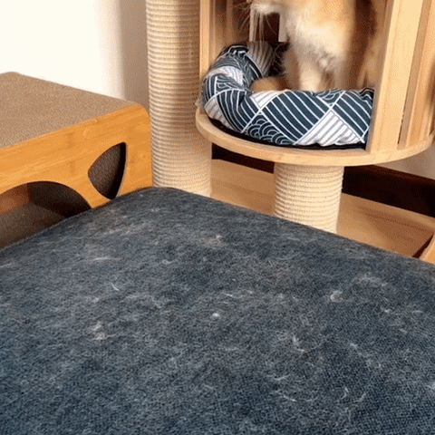 Arosta | 3-in-1 Dierenhaar Verwijderaar - PetClean Pro