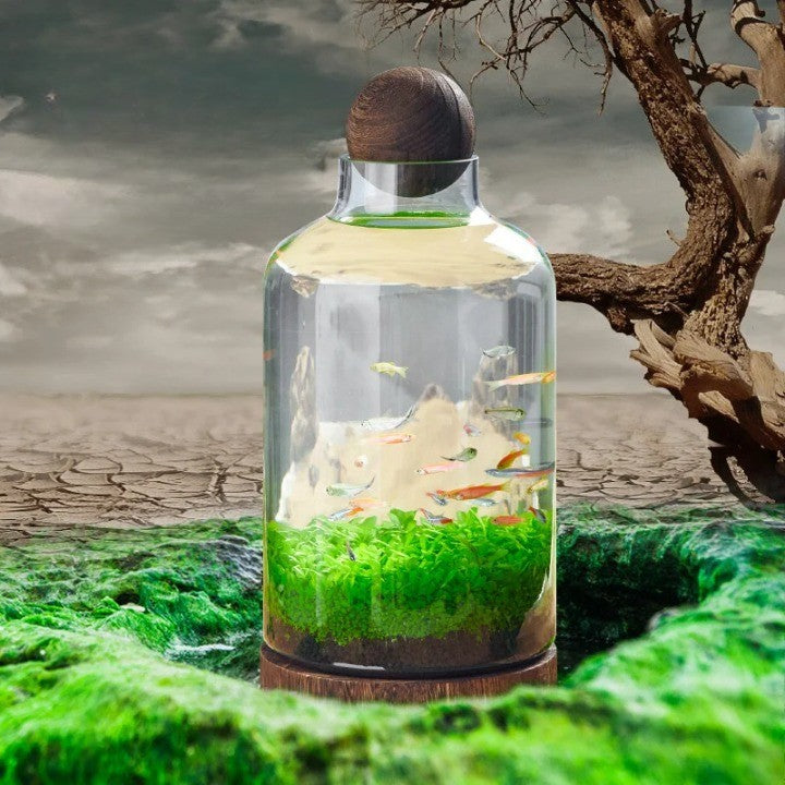 Micro Aquarium Compact Glas Ecologisch Vissentank