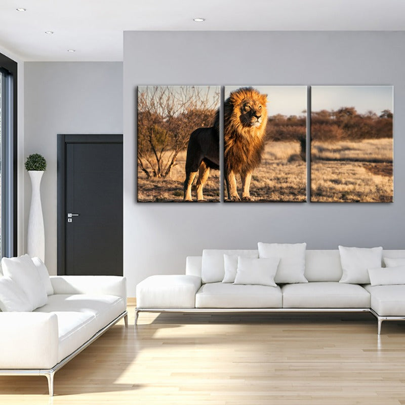 Majestueuze Leeuw Gebaad in Zonlicht - Canvas Muurkunst Schilderij 3 Stukken