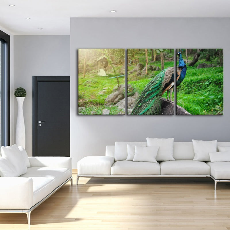Würdiges zonlicht-pauw-canvas wandkunst schilderij 3 stuk