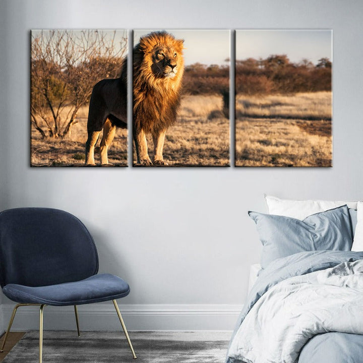 Majestueuze Leeuw Gebaad in Zonlicht - Canvas Muurkunst Schilderij 3 Stukken