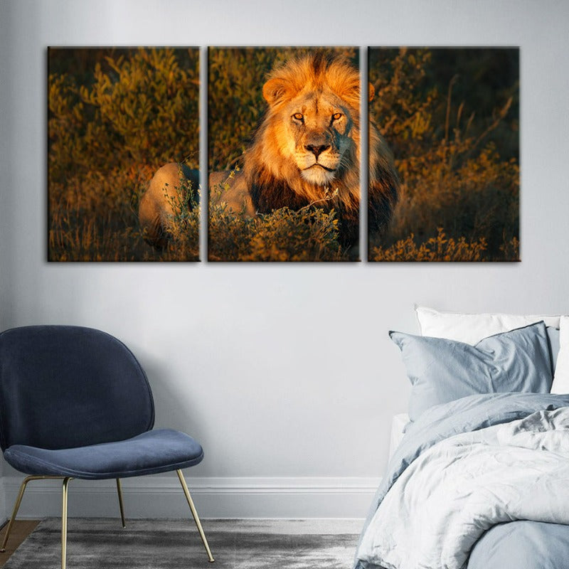 Goddelijke Zonsopgang Leeuw Canvas Wanddecoratie Schilderij 3 Stukken