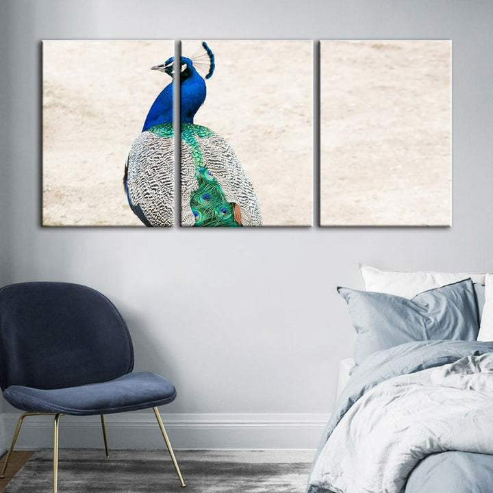 Rock elegante Pfau-Leinwand Wandkunst Schilderij 3 delen