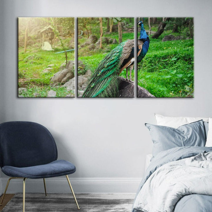Würdiges zonlicht-pauw-canvas wandkunst schilderij 3 stuk