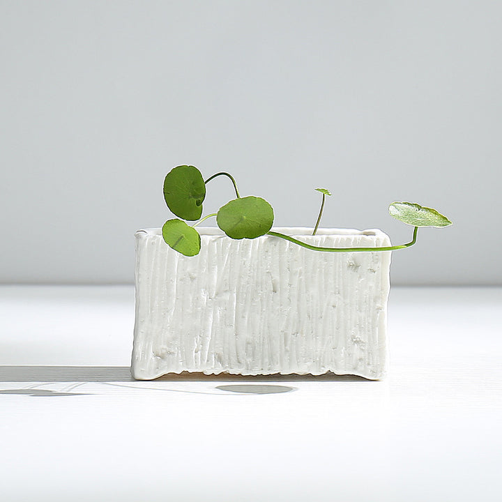 Gelaagd Minimalistische Keramische Plantenbak