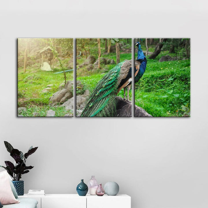 Würdiges zonlicht-pauw-canvas wandkunst schilderij 3 stuk