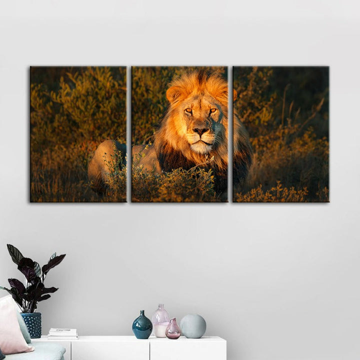 Goddelijke Zonsopgang Leeuw Canvas Wanddecoratie Schilderij 3 Stukken