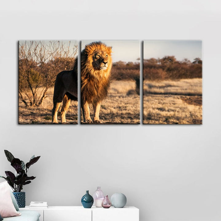 Majestueuze Leeuw Gebaad in Zonlicht - Canvas Muurkunst Schilderij 3 Stukken