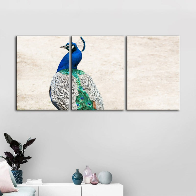 Rock elegante Pfau-Leinwand Wandkunst Schilderij 3 delen