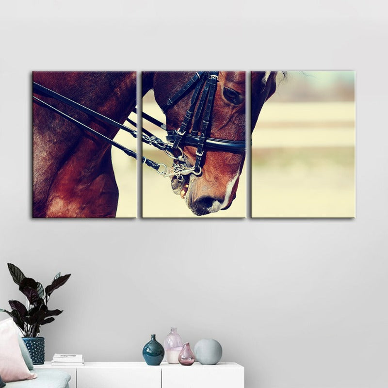 Graceful Halter Paard Canvas Muur Kunst Schilderij 3 Stukken