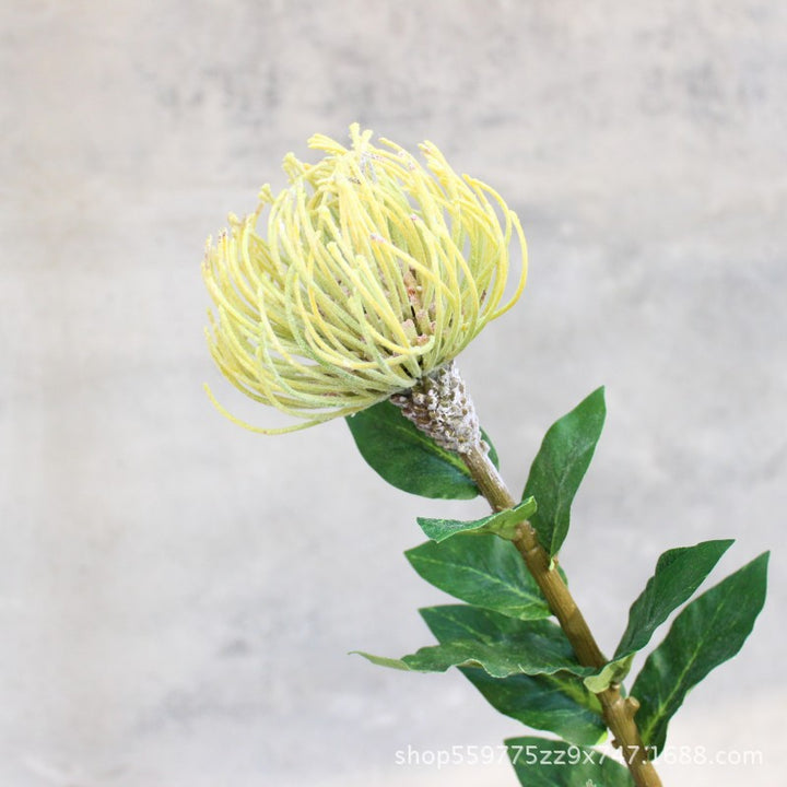 Realistische Protea Bloem Steel