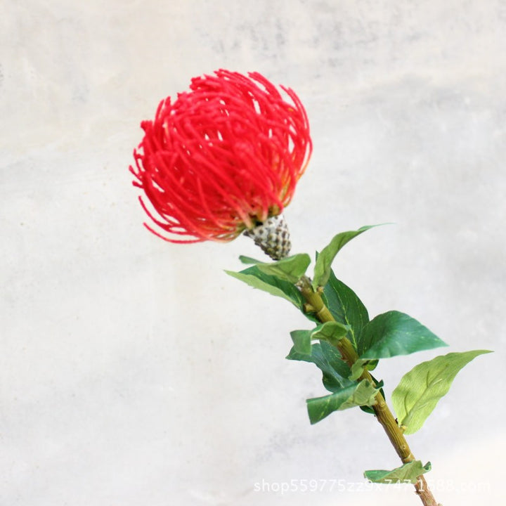 Realistische Protea Bloem Steel