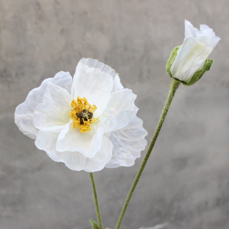 Elegante Decoratieve Bloemen Accent
