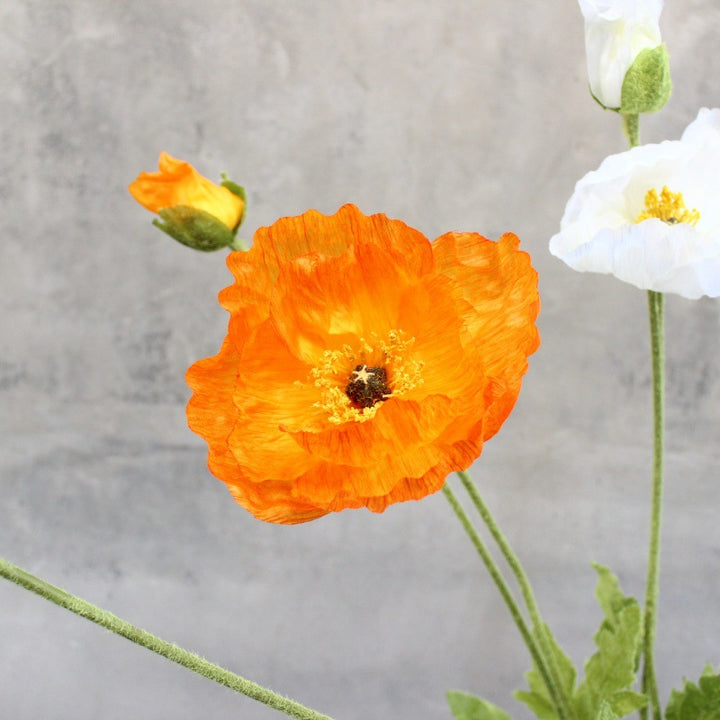 Elegante Decoratieve Bloemen Accent