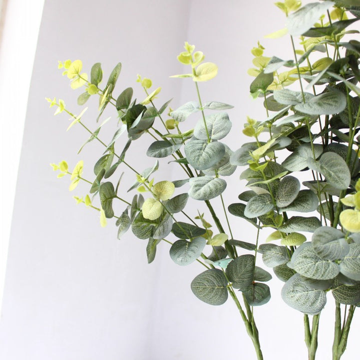 Decoratieve Eucalyptus Steel