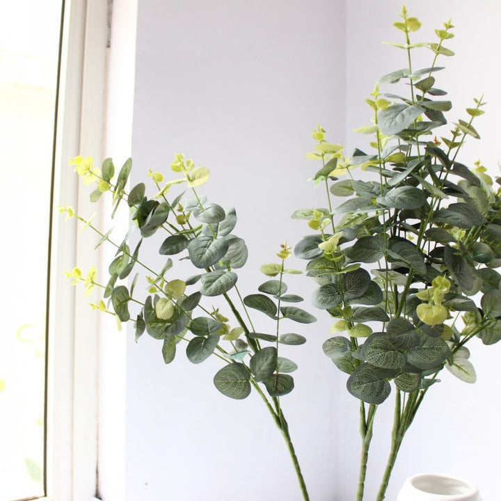 Decoratieve Eucalyptus Steel