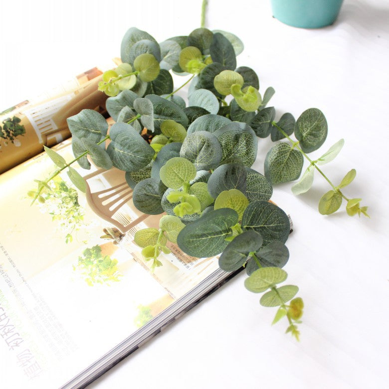 Decoratieve Eucalyptus Steel