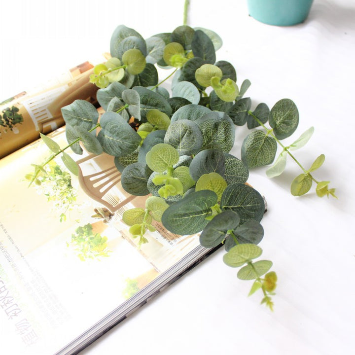 Decoratieve Eucalyptus Steel