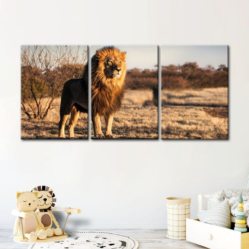 Majestueuze Leeuw Gebaad in Zonlicht - Canvas Muurkunst Schilderij 3 Stukken