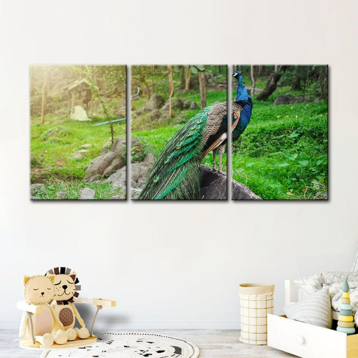 Würdiges zonlicht-pauw-canvas wandkunst schilderij 3 stuk