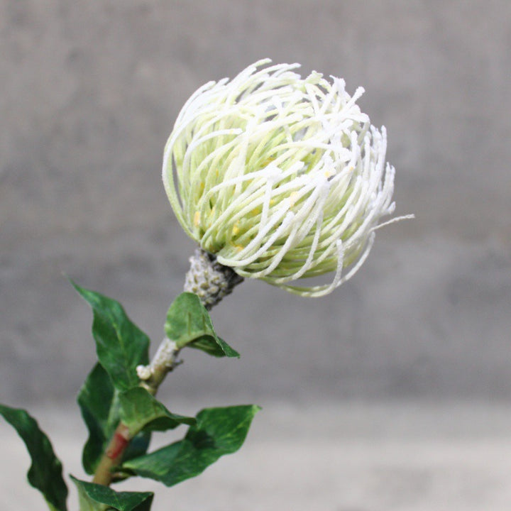 Realistische Protea Bloem Steel