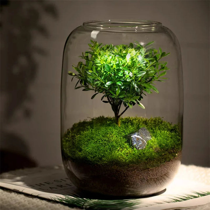 Micro Landscape Groene Oase Glazen Vaas | Arosta