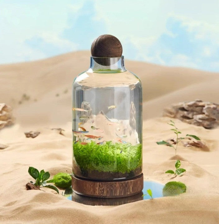 Micro Aquarium Compact Glas Ecologisch Vissentank