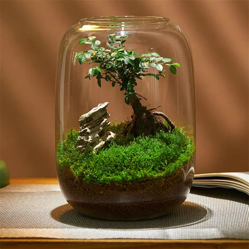 Micro Landscape Groene Oase Glazen Vaas | Arosta