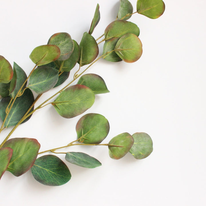 Decoratieve Eucalyptus Tak