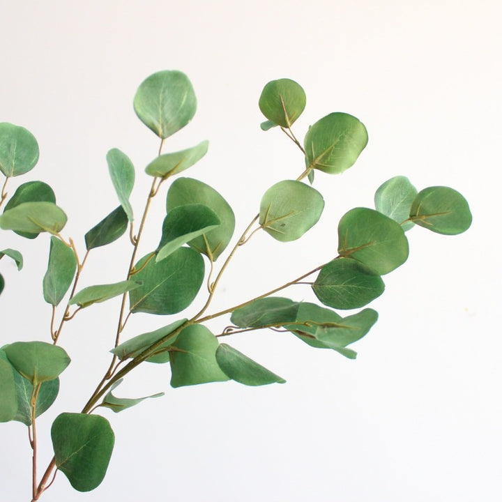 Decoratieve Eucalyptus Tak
