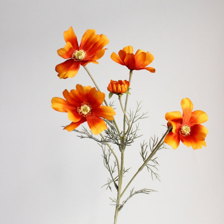 Levensechte Cosmos Bloem Steel