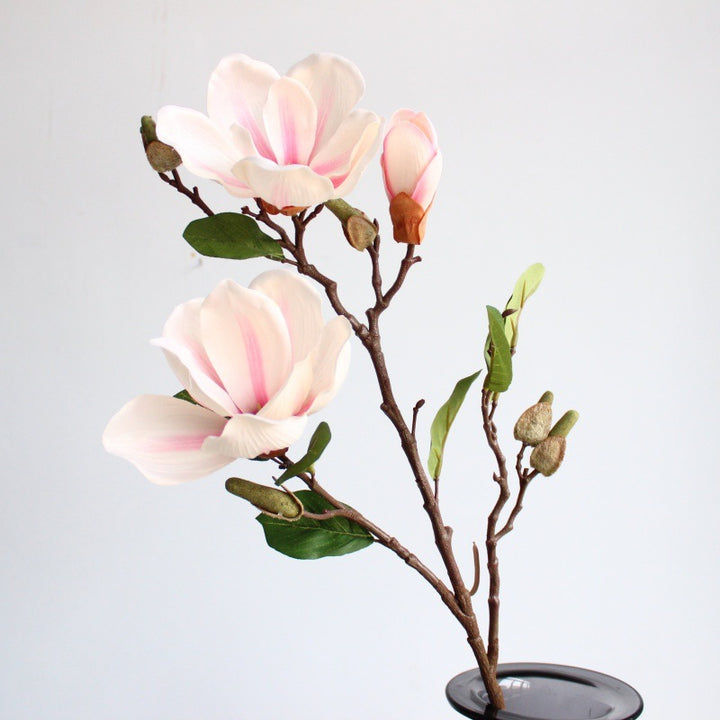 Realistische Magnolia Bloesem Steel