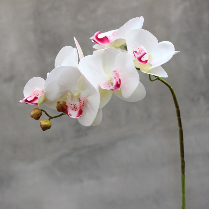 Realistische Kunstmatige Orchidee Stengel