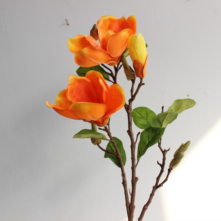 Realistische Magnolia Bloesem Steel
