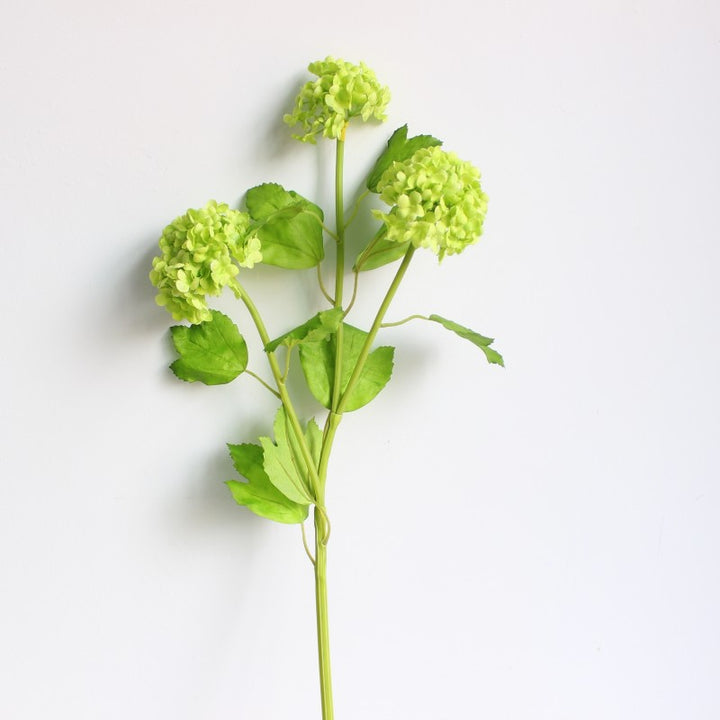 Levensechte Hortensia Steel