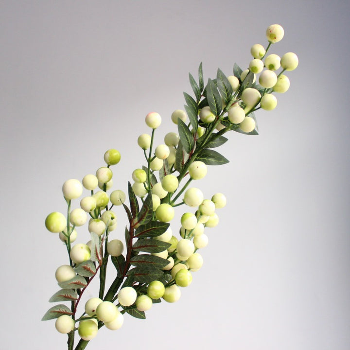 Decoratieve Groene Bes Stam