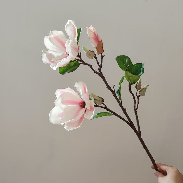Realistische Magnolia Bloesem Steel