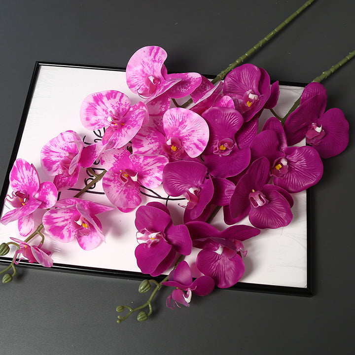 Nepatuur Orchidee Bloemsteel voor Woondecoratie Display