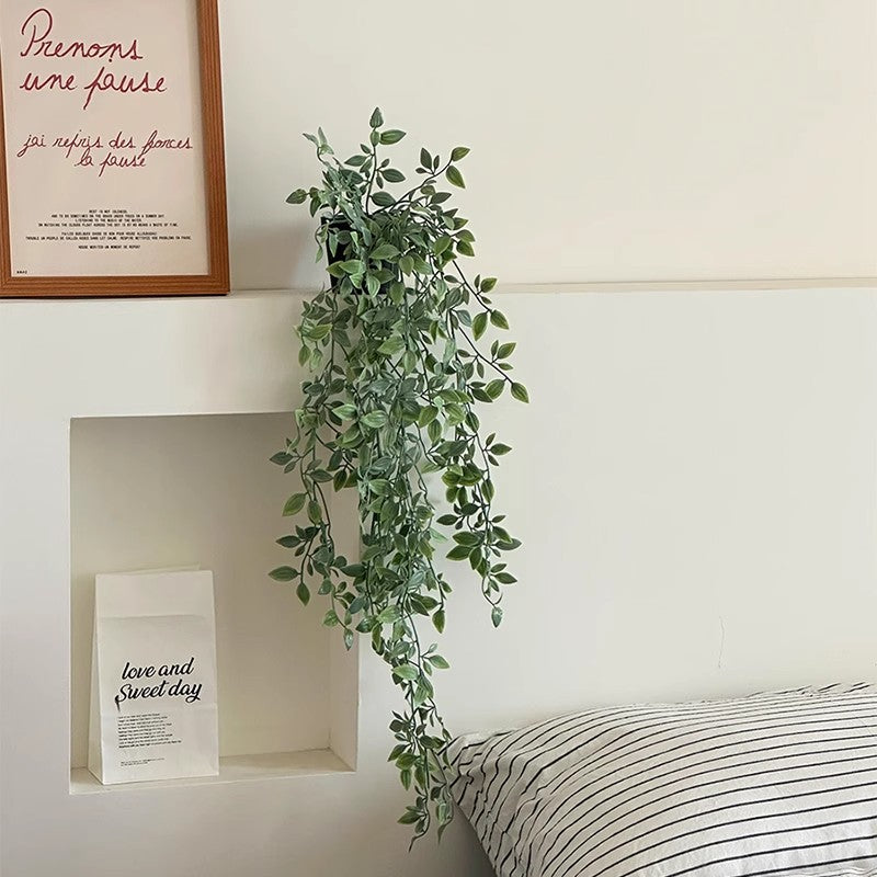 Levensechte Hang Eucalyptus Plant