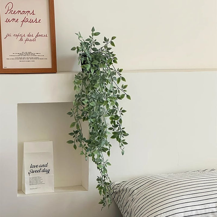 Levensechte Hang Eucalyptus Plant