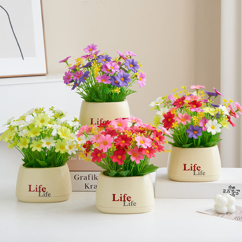 Decoratieve Nep Fruitplant