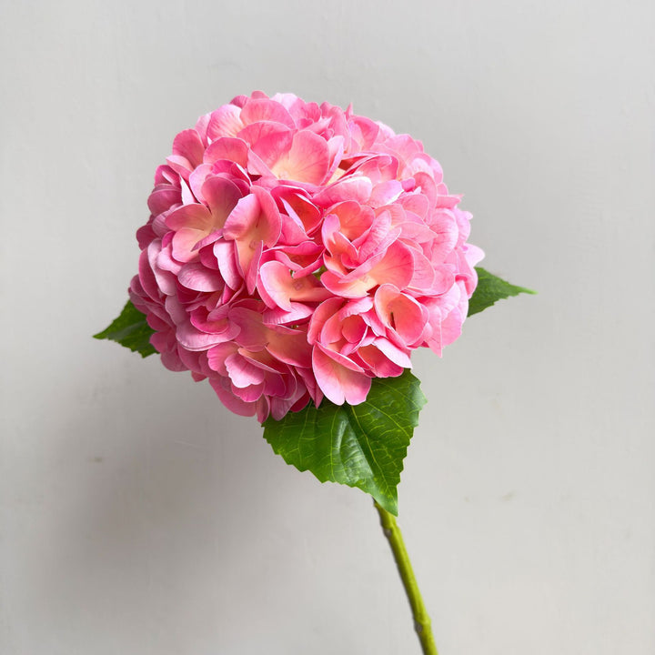 Levensechte Hortensia Steel