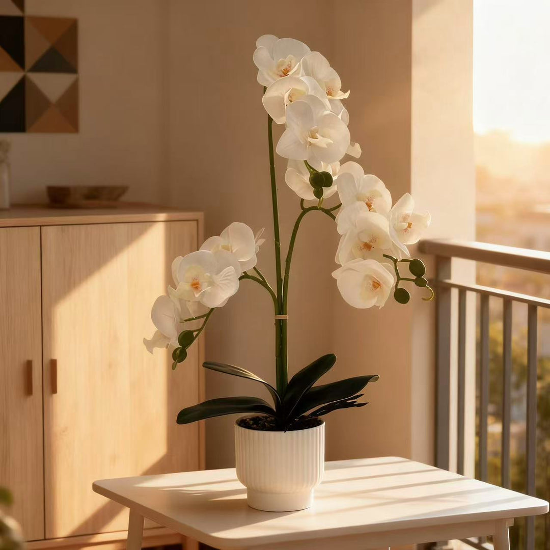 Elegante Kunstmatige Orchidee Plant Voor Huis Decor Weergave