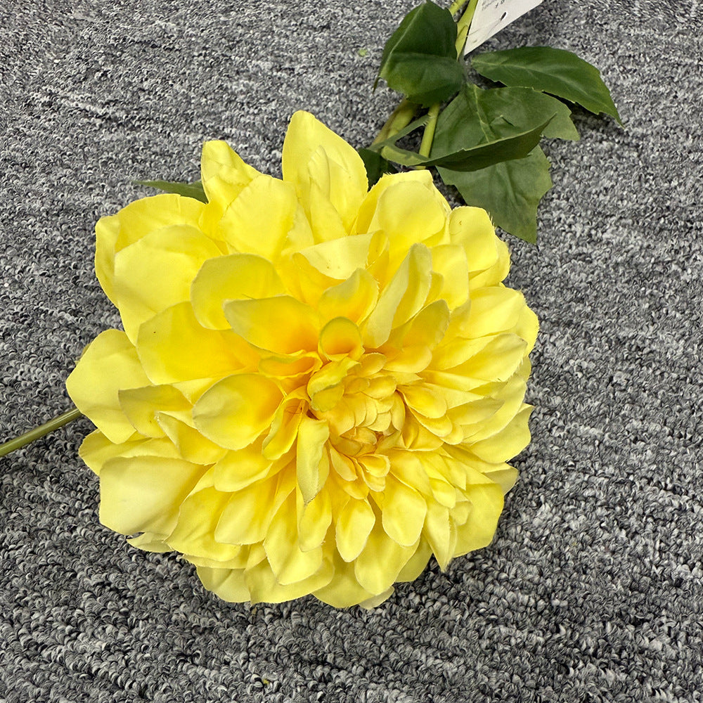 Exquise Nep-Dahlia Bloemsteel