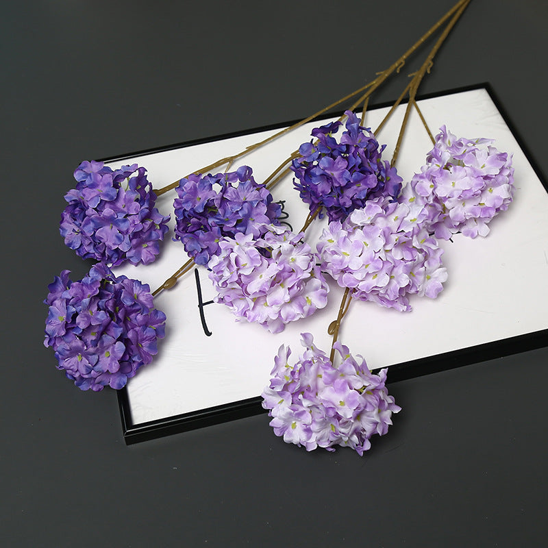 Decoratieve Gedroogde Bloemenstengel voor Hu decoration