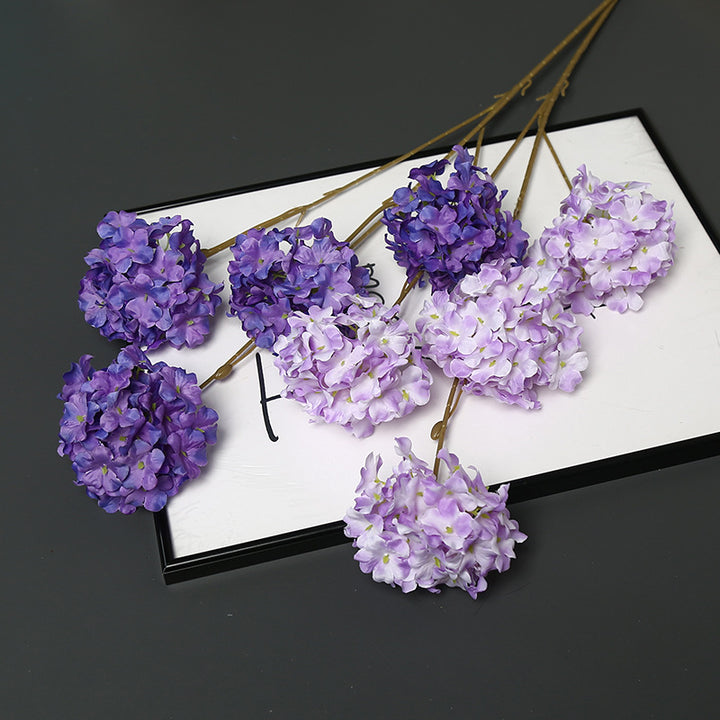 Decoratieve Gedroogde Bloemenstengel voor Hu decoration