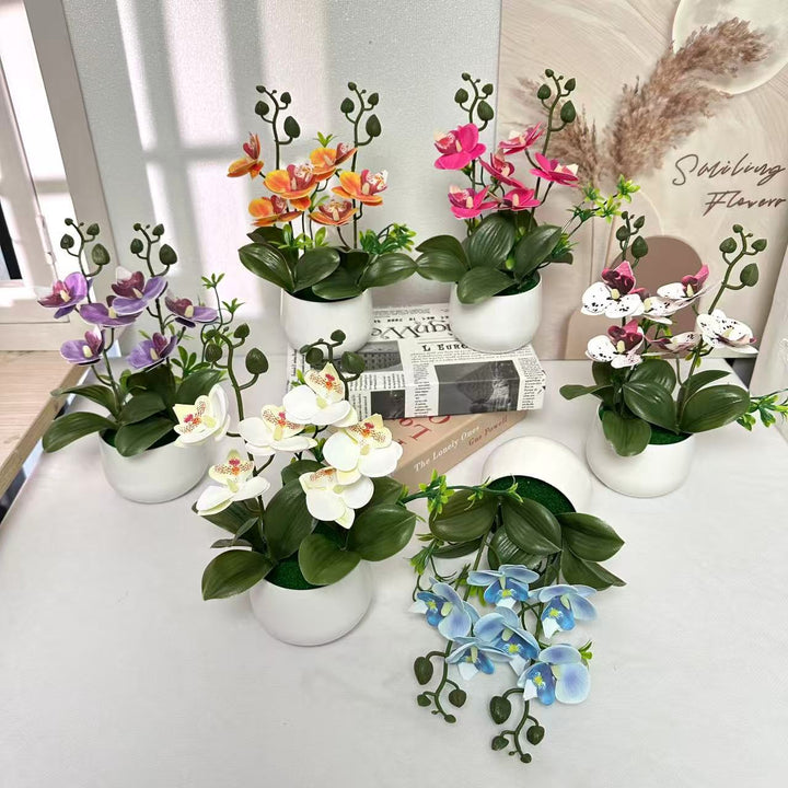 Orchidee Bloemstuk