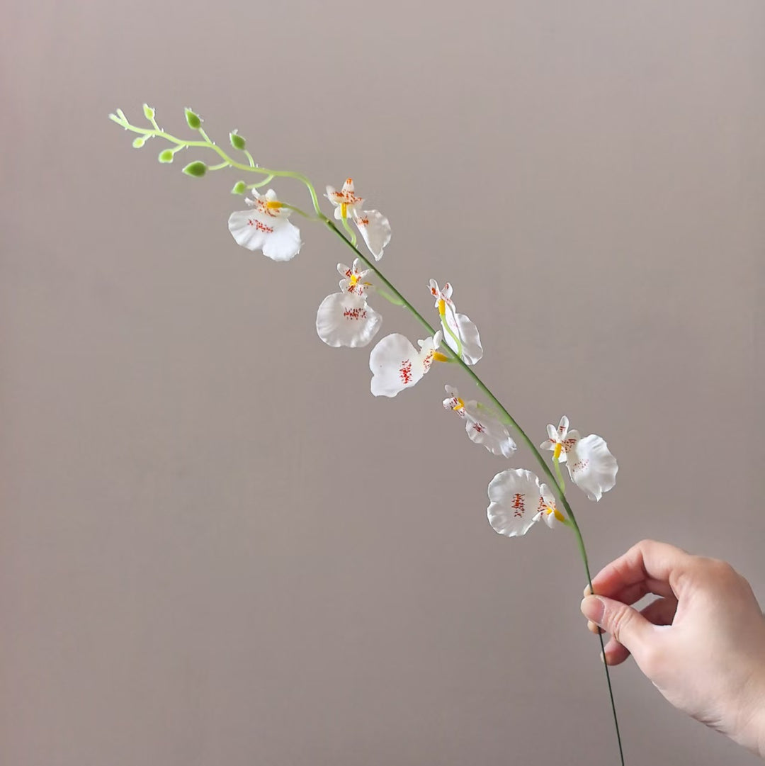 Decoratieve Orchidee Steel