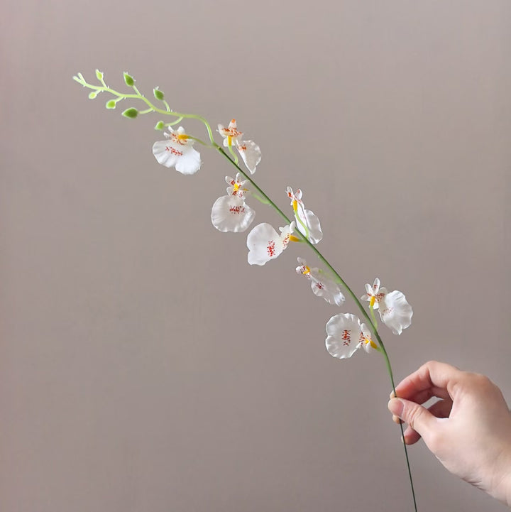 Decoratieve Orchidee Steel